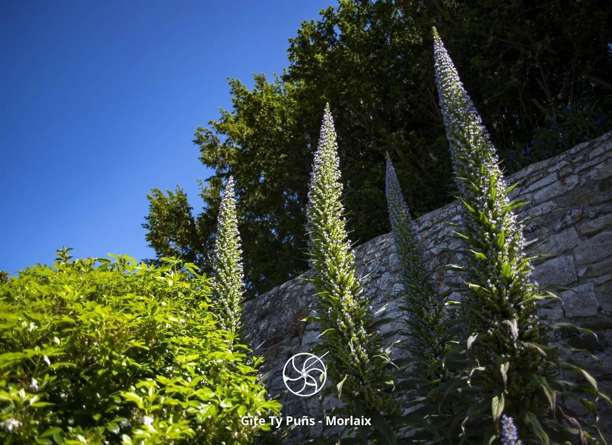 Ty Puns - Gite Ecoresponsable Dans Un Espace Verdoyant En Centre-Ville Morlaix 0*,