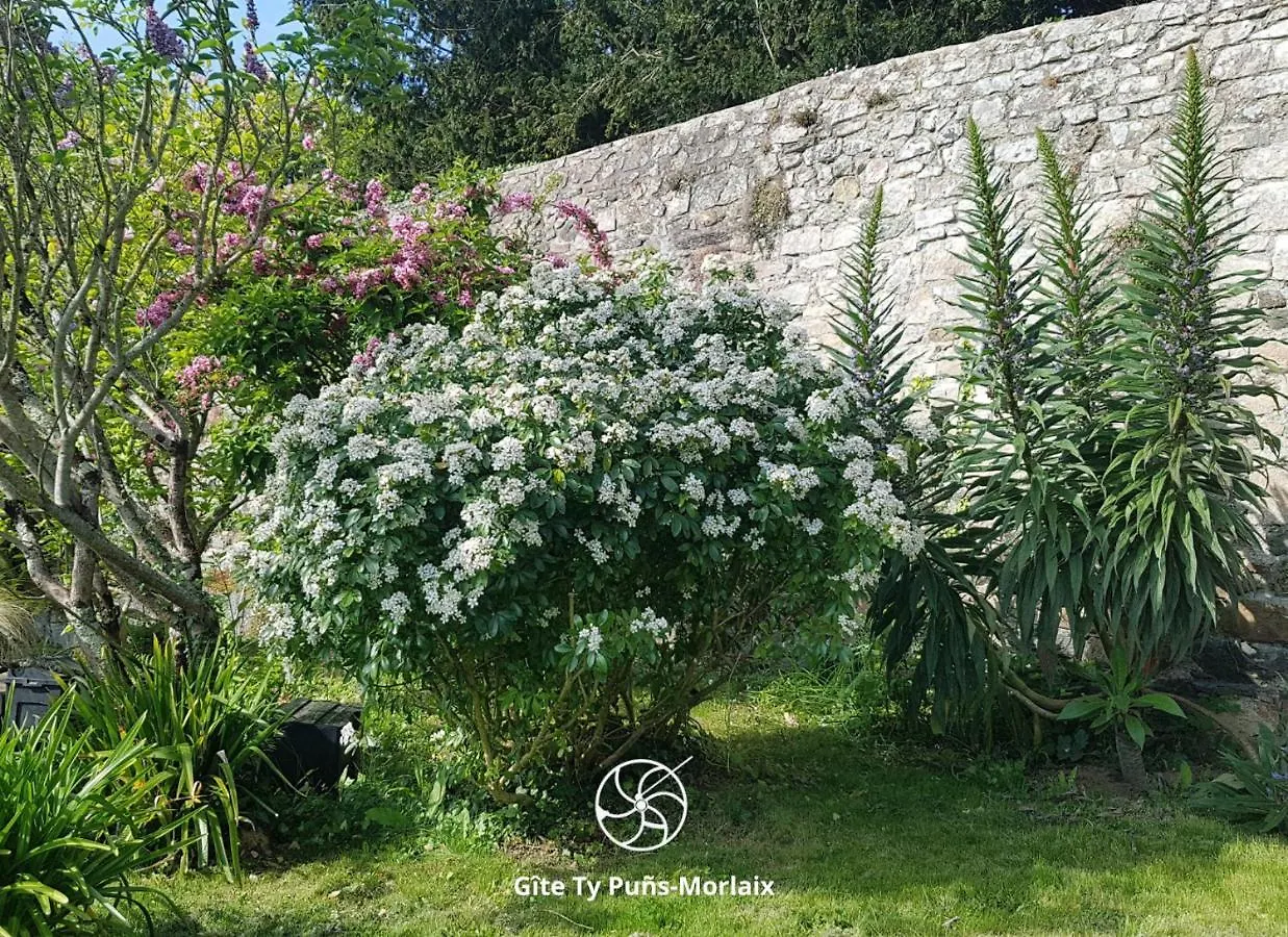 Ty Puns - Gîte cosy et calme avec spa et jardin Morlaix France